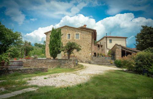 Agriturismo Corzano - Foto 12