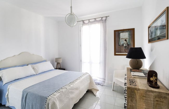 Spuma di Mare - Delfino - Foto 4