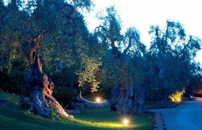 Masseria La Chiusa Delle More - Foto 28