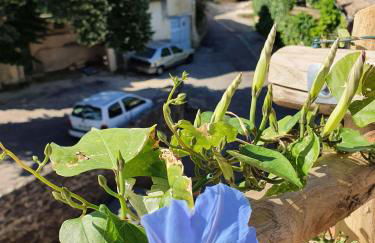 L'Exquishette de Lourmarin, un nid sur les toits. - Foto 18