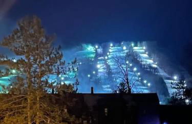 Virgil Mountain View - Photo 24