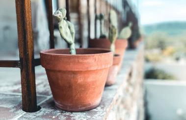 Gîte dans un domaine - La belle époque- Uzès - 6 personnes - Foto 25