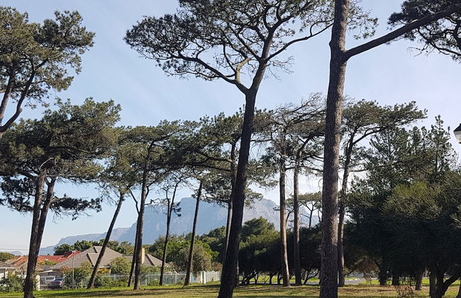 Bradclin House - Foto 40