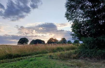 Bullau-bü - Appartment im Grünen - Foto 11