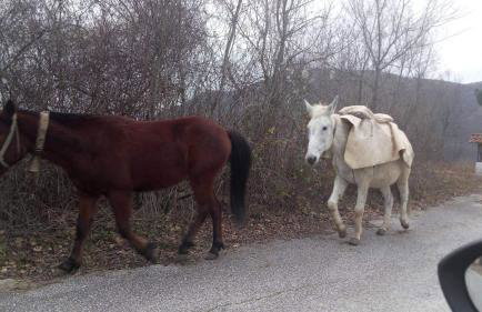 Villa Melpo - Foto 36