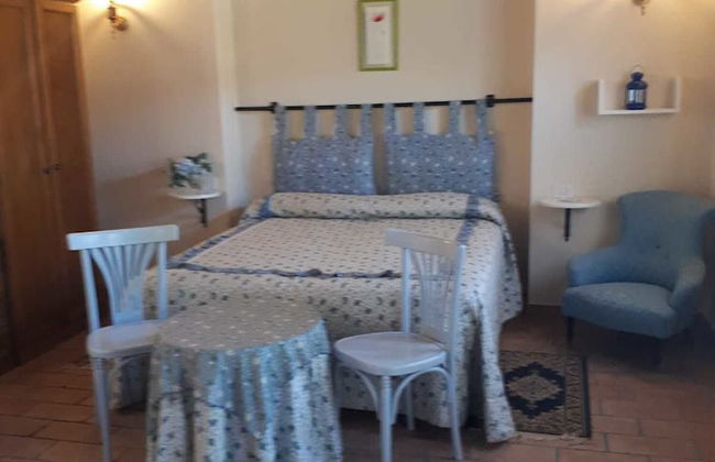 Agriturismo Il Boschetto - Photo 7