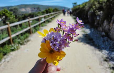 Casa Dos Vales 11 - Foto 51