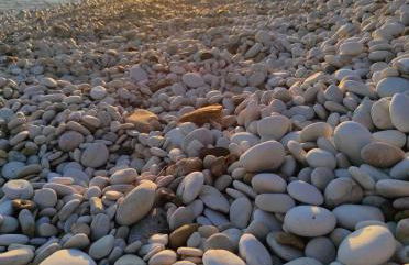 Villa Vannì - Foto 34