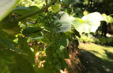 Bus atypique au bord du canal du midi et au cœur d'une forêt 2 chambres - Foto 41
