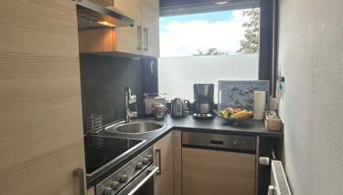 Penthouse ,,Kleine Auszeit" - Foto 2, stove, dishwasher, pet friendly, toaster