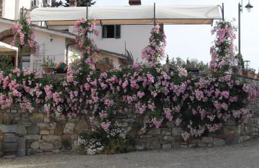 Agriturismo Olmi Grossi - Foto 31