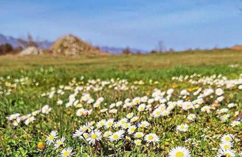 Apartments & rooms Velebit - Foto 32
