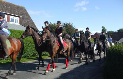 Kajüte 23 - Foto 16