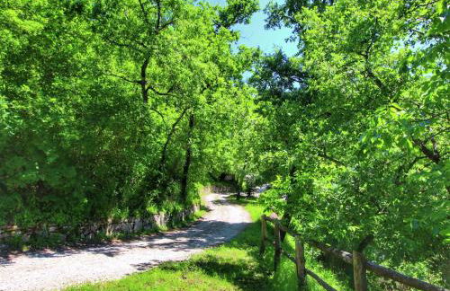 Alluring Farmhouse in Ortignano With Swimming Pool - Foto 48