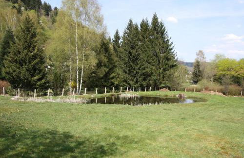 Gîte familial aux Vosges avec jeux pour enfants, à proximité de la nature et activités sportives - FR-1-589-111 - Foto 9