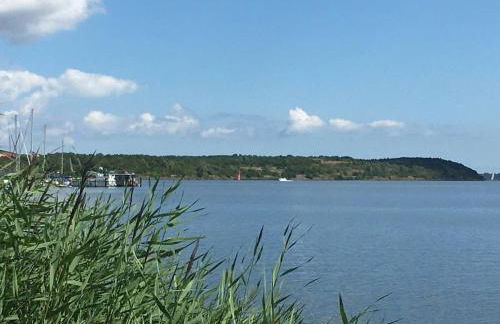 Hausboot Hafenprinz Lübeck - Foto 37