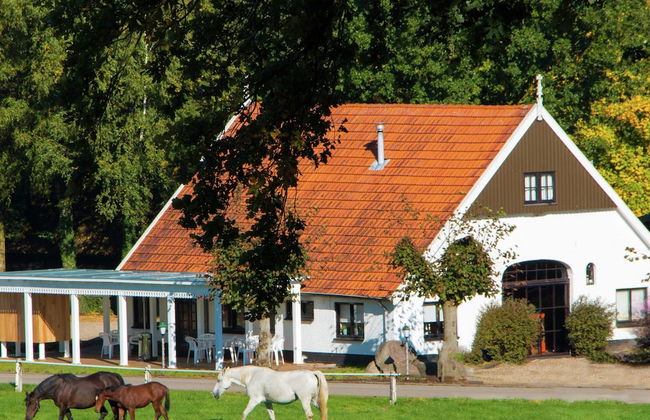 Chalet in Ootmarsum on Kuiperberg - Foto 2