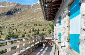 Mountain Apartment Rododendro - Foto 58