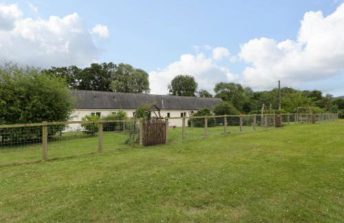 The Turbles - Wagtail - Foto 17