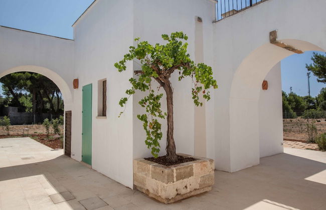 Santa Marina Masseria del Salento - Foto 30