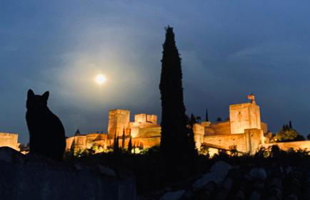 Casa Albaicin 1 - Photo 18