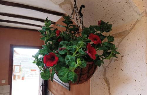 Casa de la Abuela Pili - Foto 64