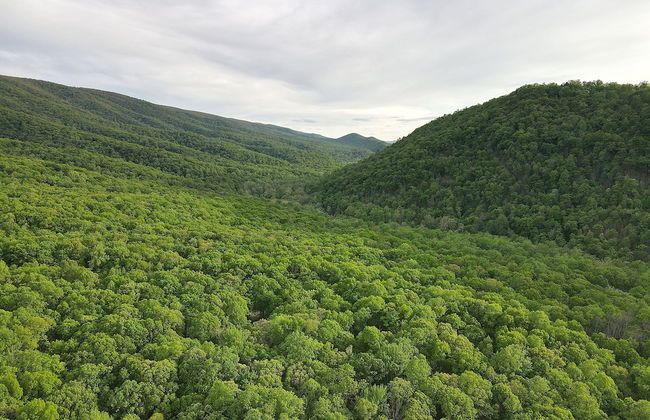 River Walk Cottage - Romantic Escape - Foto 14