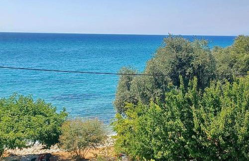 Blue and white - Foto 36