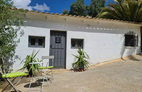 Casa Tropical, serene poolside retreat in nature - Foto 8