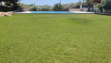 Nina´s Paradise - Foto 4