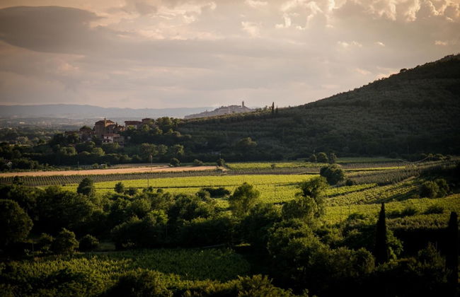 Agriturismo Le Capanne - Foto 32