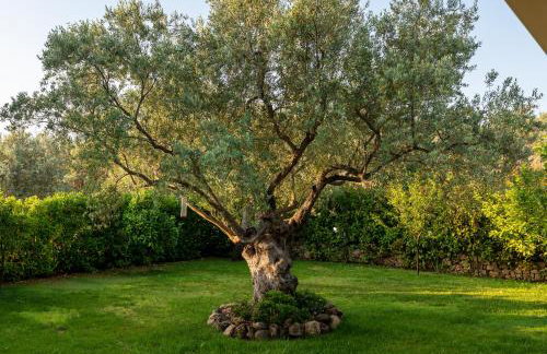 Nikole's Villas Luxury 180m2 - Photo 23