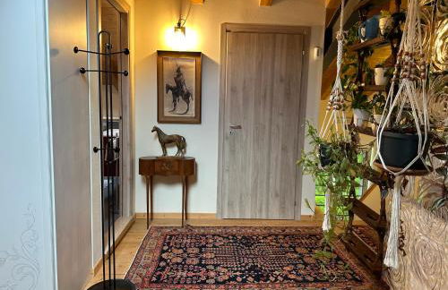 Residence Belvedere Barcis Mansarde - Photo 11