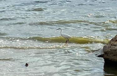 Appartement, vue sur l’étang, proche aéroport. - Foto 27