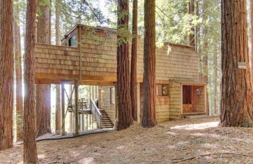 The Redwood House - Photo 24
