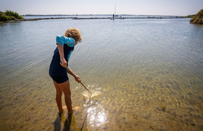 Lakefront Retreat w/ Hammock - Foto 20