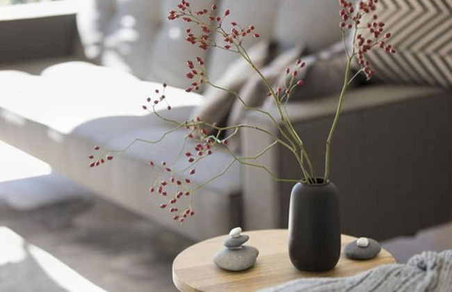 Schweizerhaus Alpirsbach - Foto 27