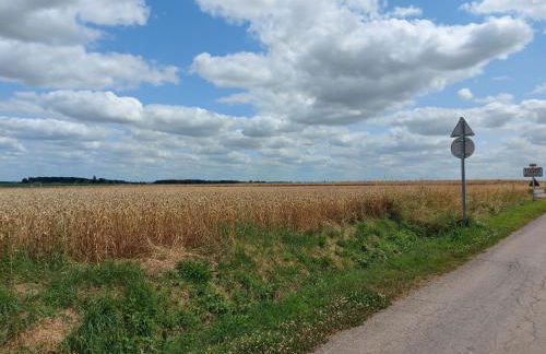Escapade en longère avec jardin au bord de l'Ozanne, Dangeau, 6 pers. - FR-1-581-25 - Foto 31