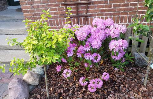 Johannes Hof - Foto 2