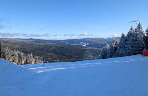 Apartment Rehblick Hohenwarth - Photo 31