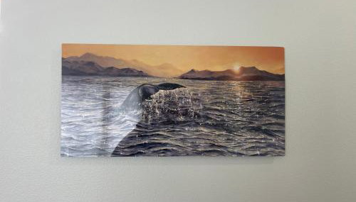 City Retreat, 2bdrm near Airport - Foto 3