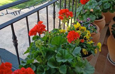 Casa Rural Dani. Escalona - Foto 2