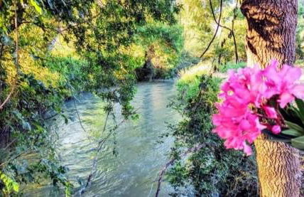 MAIN SQUARE Apartments - Photo 45