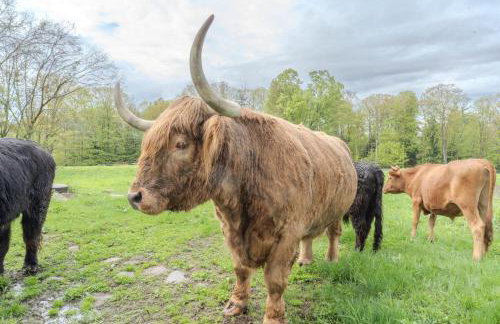 D-Miles Smith Farm Suite - Foto 15