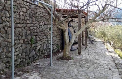 Levantes Mansion - Photo 33