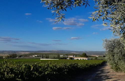 La Capellania de Alvear - Foto 25