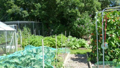 Millbrook - Foto 3, Garden