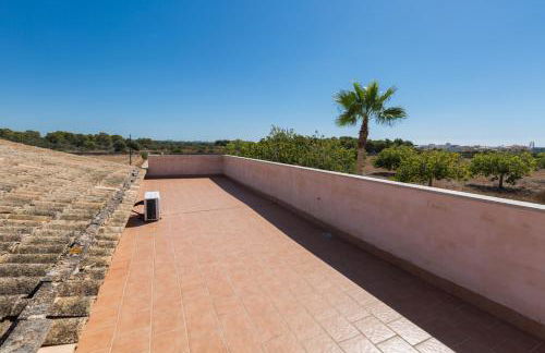 Short De Son Fideu - Foto 26