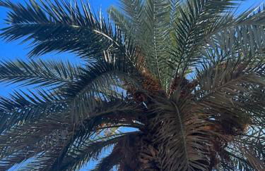 Club Salino 18 - Foto 23