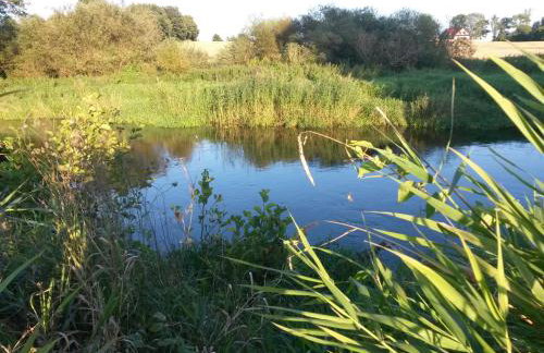 Agroturystyka Dwie Podkowy - Foto 53